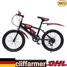 Bicicletta 20 pollici 7