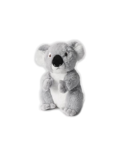 Koala peluche - koala,