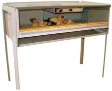 Gabbia calda allevatrice - gabbia,