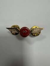 BREVETTO SPILLA PICCOLA ALI GUIDA VELOCE AUTO