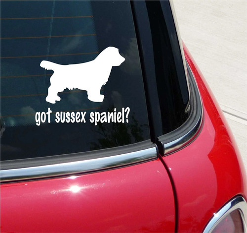 Got sussex spaniel spaniels - got,
