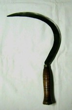 🟡 ANTICO FALCETTO AGRICOLO