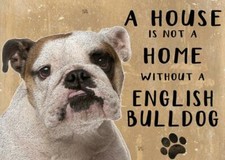 20cm metal English Bulldog A