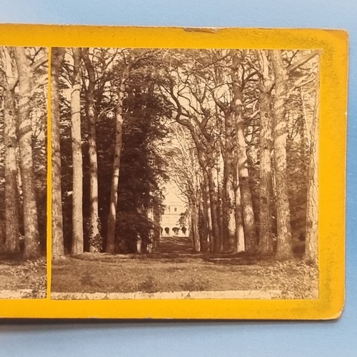 Stereoview card 1870 guys - stereoview, 3d