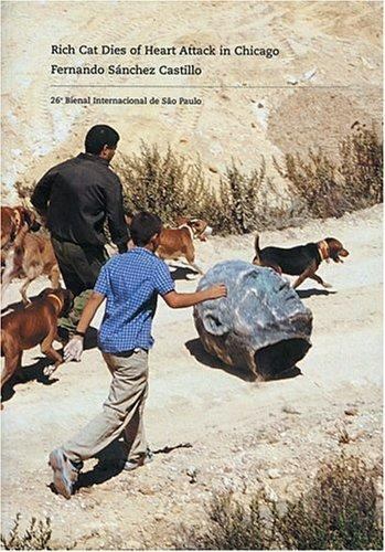 Fernando sánchez castillo - fernando,