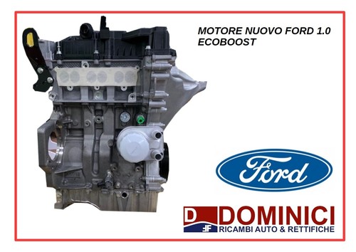 Motore ford fiesta - ,