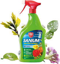 Sanium AL Pfnpo - Sistema