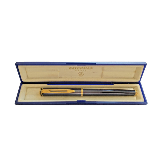 Penna stilografica waterman - penna,