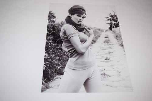 Pinup raquel welch 8x10 foto - raquel,