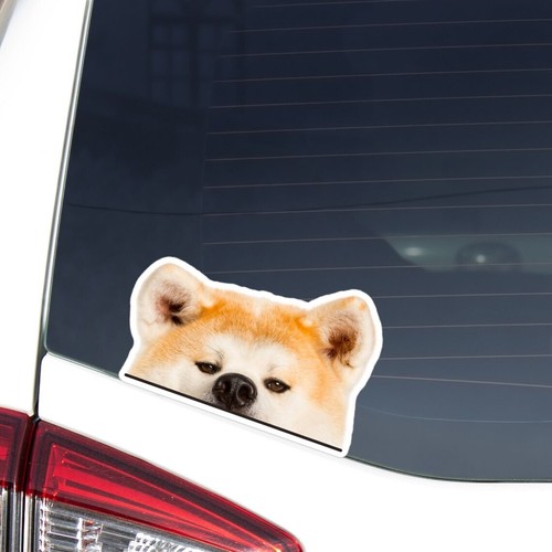 Adesivo auto peeking rosso - peeking,