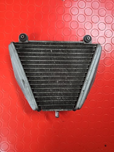 Radiatore olio ducati panigale - radiatore,