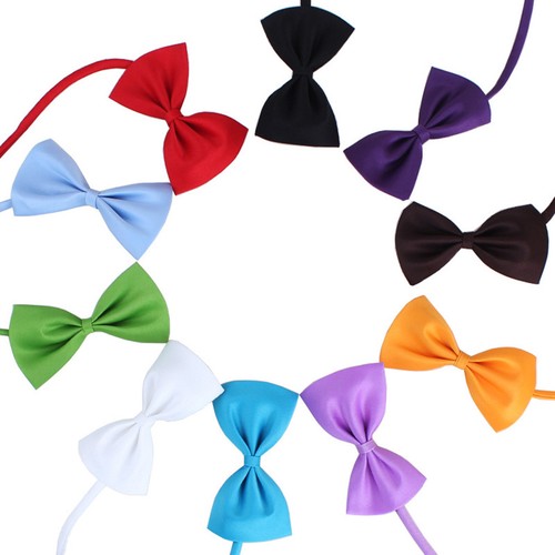 Pcs farfallino per cani - 10,