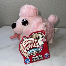 PUCCIOLI PAFFUTI E AMICI