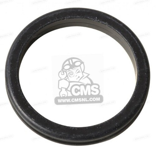 Ring pompa acqua honda - pompa,