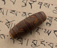 Dzi Dente Da Tigre Gzi -