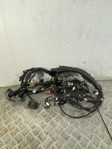 101787 cablaggio impianto - 101787,