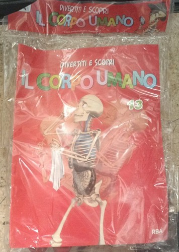 Corpo umano rba fascicolo - umano,