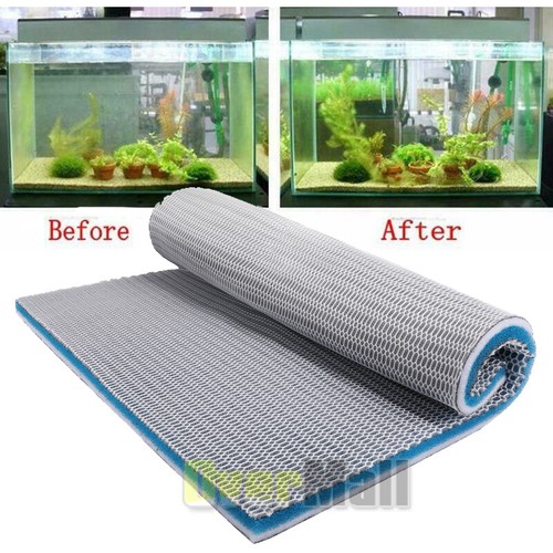 Spugna filtro acquario - spugna,