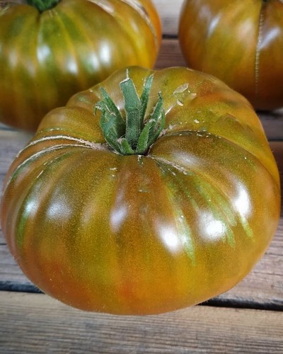 Pomodoro carne russo - pomodoro,