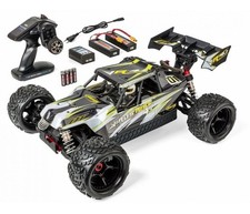 Carson 500409087 Virus Race