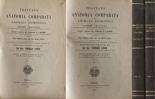 Trattato anatomia comparata - anatomia,