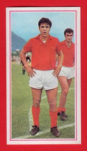 Figurina calciatori panini - calciatori,