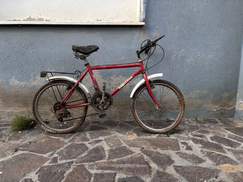 Mountain bike vintage - mountain,