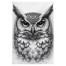 Gufo Matita Schizzo Wall Art