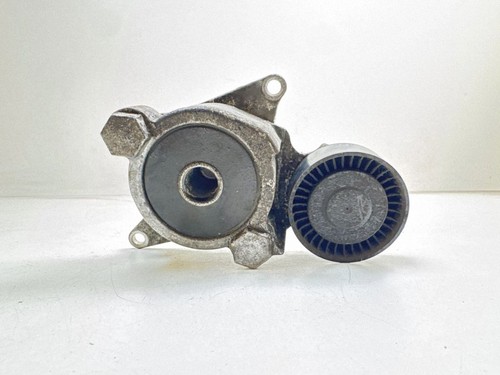 Tenditore cinghia alternatore