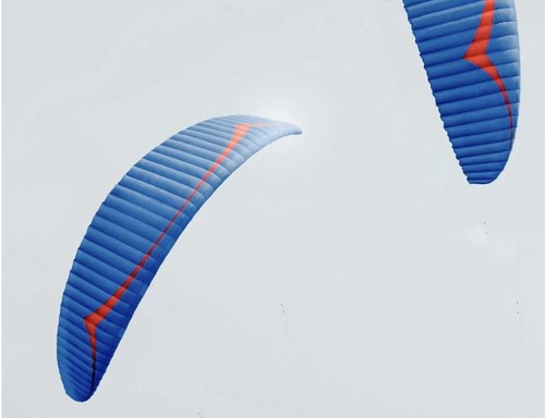 Nuovo gin instinct 15m - gin,