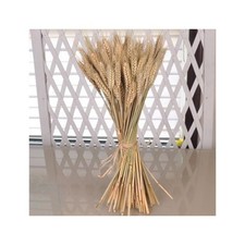 SPIGHE DI GRANO FASCIO 80