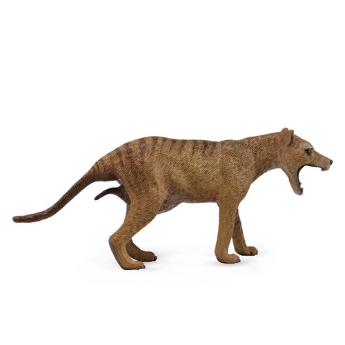 Collecta thylacine tigre - collecta, (tigre