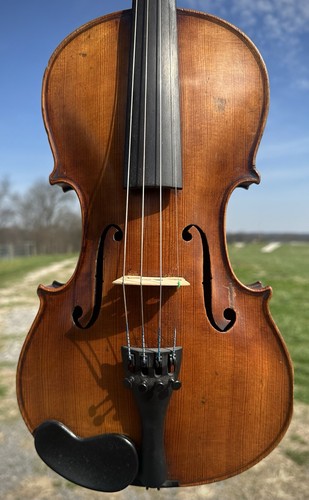 Old violin labeled - violin,