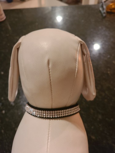 Collare per cani susan lanci - collare,