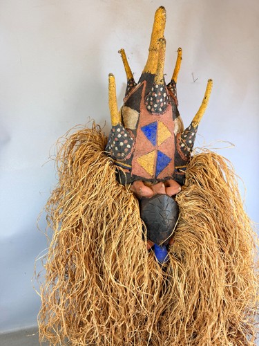 260726 maschera tartaruga - -,