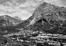 Postcard elderberry valle - postcard,