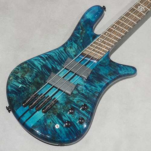 Spector dimension 4 - spector,