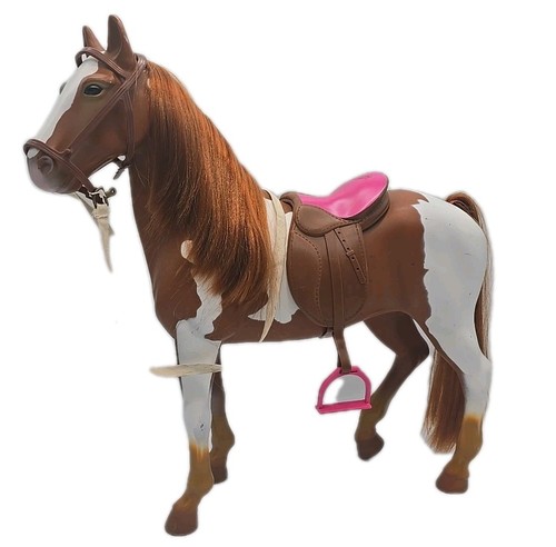 Cavallo appaloosa our - appaloosa,