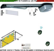 PORTA SEZIONALE BASCULANTE