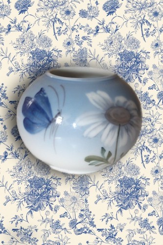 Margherita farfalla blu