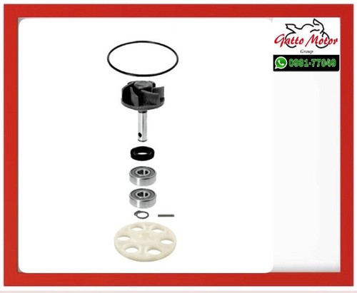 Kit revisione pompa acqua - revisione,