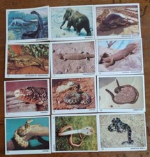FIGURINE IL MONDO DEGLI ANIMALI PANINI SCEGLI dalla n°3 alla n°335 VEDI ELENCO