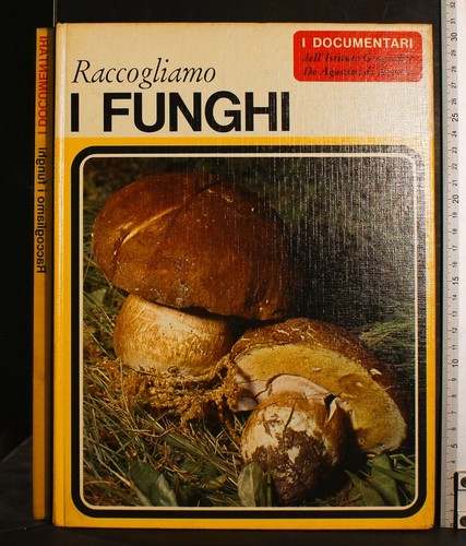Documentari i funghi - i,