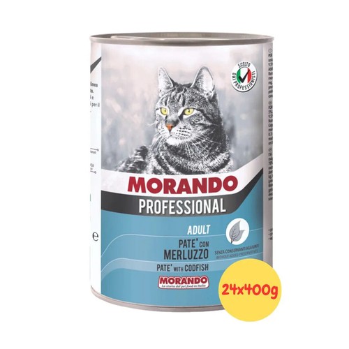 Morando umido gatto - morando,