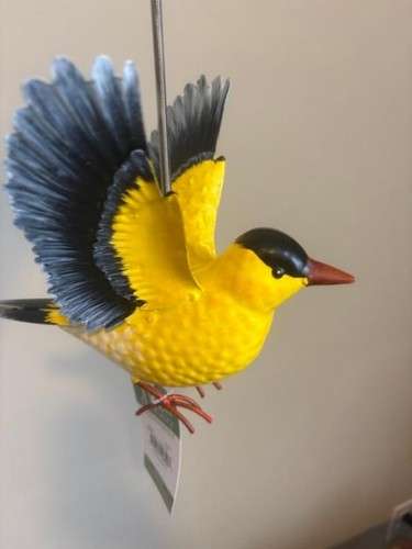 Bouncie uccellino giallo con