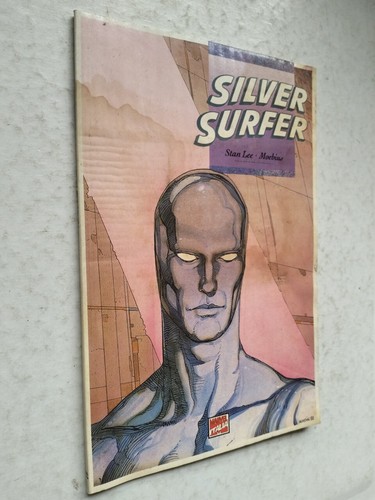 Silver surfer parabola stan - surfer,