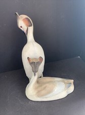 Raro grande uccellino Grebe in