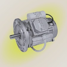 Motore Asincrono elettrico