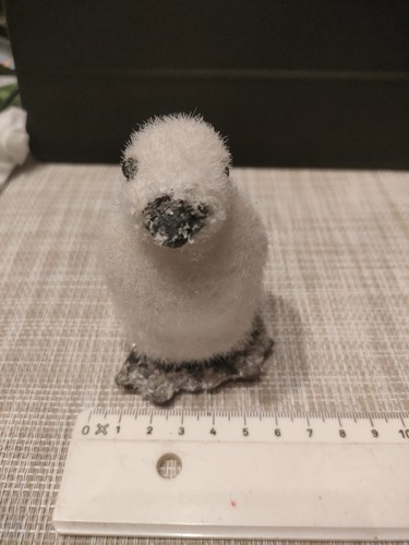Christmas winter penguin - christmas/winter,