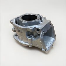 GRUPPO TERMICO CILINDRO ORIGINALE / ENGINE ROTAX GILARDONI